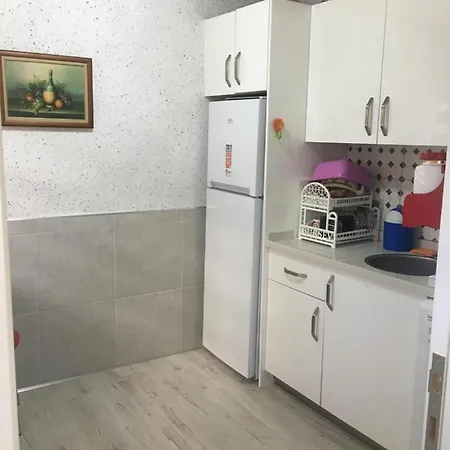 Serdar Butik * 말마리스